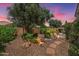 Lush backyard oasis featuring mature trees, desert landscaping, ambient lighting, and stone walkways at 27088 W Sequoia Dr, Buckeye, AZ 85396