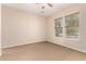 Neutral bedroom with carpet, a ceiling fan, and natural light streaming through the windows at 3819 N Springfield St, Buckeye, AZ 85396