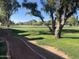 Scenic view of the lush golf course with mature trees and a clear blue sky at 5203 N 24Th St # 207, Phoenix, AZ 85016