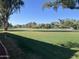 Expansive view of the meticulously maintained golf course at 5203 N 24Th St # 207, Phoenix, AZ 85016