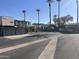 Well-maintained parking area with lush landscaping and palm trees at 5203 N 24Th St # 207, Phoenix, AZ 85016