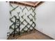 Lush green patio with climbing ivy and an open-air skylight at 7821 N Via De La Sombre --, Scottsdale, AZ 85258