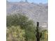 Scenic desert landscape featuring native plants and mountain views in a natural setting at 9002 E Havasupai Dr, Scottsdale, AZ 85255