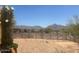 Homesite view featuring a blooming saguaro cactus, desert plants, and distant mountains at 9002 E Havasupai Dr, Scottsdale, AZ 85255