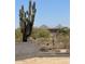 Expansive desert property featuring native cacti and panoramic views of the rugged mountain landscape at 9002 E Havasupai Dr, Scottsdale, AZ 85255