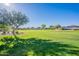 Picturesque view of community park with lush greenery, a walking path, and single Gathering homes at 948 E Wiley Way, Casa Grande, AZ 85122