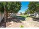 Expansive backyard with mature trees and lush green grass, perfect for outdoor entertaining and relaxing at 12721 W Georgia Ave, Litchfield Park, AZ 85340