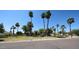 Beautiful home with lush landscaping and tall palm trees, showcasing its curb appeal at 12721 W Georgia Ave, Litchfield Park, AZ 85340