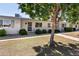 Cozy single-story home with a well-kept lawn, mature tree, and inviting front entrance at 13807 N Garden Court Dr, Sun City, AZ 85351