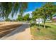 Walking path near the dog park with trees, showcasing the community's green spaces and pet-friendly amenities at 16186 W Port Royale Ln, Surprise, AZ 85379