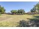Scenic green space bordered by trees and neighborhood homes, ideal for recreational activities at 16186 W Port Royale Ln, Surprise, AZ 85379