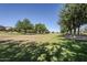 Lush community green space featuring mature trees, offering a serene and inviting atmosphere at 16186 W Port Royale Ln, Surprise, AZ 85379