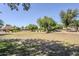Expansive green space with trees and landscaping, enhancing the community's natural beauty at 16186 W Port Royale Ln, Surprise, AZ 85379