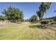 Expansive green space with mature trees and well-maintained landscaping for community enjoyment at 16186 W Port Royale Ln, Surprise, AZ 85379
