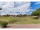 Expansive grassy community green space with mature trees and views of neighborhood homes under a cloudy sky at 16526 W Desert Ln, Surprise, AZ 85388
