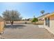 Expansive backyard with gravel landscaping, mature trees, and block wall at 20149 N 92Nd Ave, Peoria, AZ 85382
