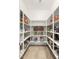 Organized walk-in pantry with ample shelving for storage, ensuring a clutter-free and efficient kitchen space at 35556 N 87Th Pl, Scottsdale, AZ 85266