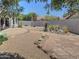 Sprawling backyard with desert landscaping, mature trees, and a covered patio at 4517 E Ute St, Phoenix, AZ 85044
