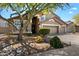 Charming front yard featuring desert landscaping, a mature tree, and an inviting entrance to this Gathering home at 4569 E Lariat Ln, Phoenix, AZ 85050
