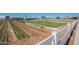 Thriving community garden with rows of fresh vegetables and herbs, perfect for farm-to-table living at 4607 S Venus --, Mesa, AZ 85212