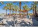 Interactive splash pad with palm trees offering fun for all ages during the hot summer months at 4607 S Venus --, Mesa, AZ 85212