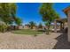 Expansive backyard features a well-maintained lawn, desert landscaping, and a covered patio at 7008 W Southgate Ave, Phoenix, AZ 85043
