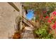 Charming property exterior showcasing lush landscaping and vibrant bougainvillea adding curb appeal at 7557 N Dreamy Draw Dr # 139, Phoenix, AZ 85020