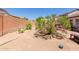 Backyard showcasing lush plants, a cactus, and a patio set, creating a serene outdoor space at 9124 W Williams St, Tolleson, AZ 85353