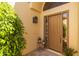 Close-up view of the home's front door with adjacent plants and a decorative lantern at 10429 N 101St St, Scottsdale, AZ 85258