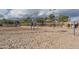 A sandy volleyball court with visible nets, and playground in the background at 10429 N 101St St, Scottsdale, AZ 85258
