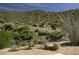 People horseback riding through the desert landscape, surrounded by saguaro cacti and natural beauty at 10651 E Fernwood Ln, Scottsdale, AZ 85262
