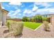 Grassy backyard featuring desert landscaping, mature foliage, and a stone-laid patio at 3417 E Los Gatos Dr, Phoenix, AZ 85050