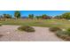 View of the large green space with playground and gazebo in the community park at 3742 E Sandy Way, Gilbert, AZ 85297