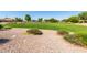 Expansive grassy park area featuring a manicured lawn and scattered trees, ideal for recreation and relaxation at 3742 E Sandy Way, Gilbert, AZ 85297