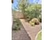 Beautiful backyard with lush greenery and desert landscaping providing a serene and private outdoor oasis at 4956 S Leisure Way, Gilbert, AZ 85298