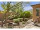 Relaxing backyard offering lush landscaping, desert plants, and gravel ground cover at 6231 E Mark Way # 14, Cave Creek, AZ 85331