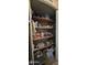 Pantry or closet with multiple shelves and supplies at 8632 E Delilah Ave, Mesa, AZ 85208
