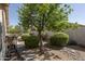 Backyard featuring gravel ground cover and manicured landscaping at 12044 S 45Th St, Phoenix, AZ 85044