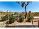 A tranquil backyard featuring desert landscaping, a wrought iron fence, and mature trees at 29606 N Tatum Blvd # 245, Cave Creek, AZ 85331