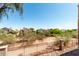 View from patio overlooking the fenced yard and neighboring houses on a sunny day at 29606 N Tatum Blvd # 245, Cave Creek, AZ 85331
