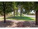 Lush front yard with mature trees and landscaping, enhancing curb appeal of the home at 347 Leisure World --, Mesa, AZ 85206