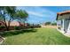Expansive grassy backyard featuring block wall, mature landscaping, and partial covered patio at 35 E Secretariat Dr, Tempe, AZ 85284