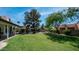 Lush backyard with green lawn, mature trees, pool with waterfall, and covered patio at 35 E Secretariat Dr, Tempe, AZ 85284