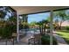 View from the patio of a sparkling pool and lush, well-maintained landscaping at 35 E Secretariat Dr, Tempe, AZ 85284