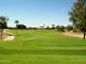 Picturesque golf course with well-maintained green and scenic landscaping provides a beautiful outdoor recreational area at 3649 E Hazeltine Way, Chandler, AZ 85249