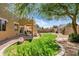 Lush backyard features a manicured lawn, mature trees, and a covered patio at 4976 E Thunderbird Dr, Chandler, AZ 85249
