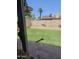 Beautiful backyard with lush artificial grass, mature palm trees, and a well-maintained privacy fence at 6036 W Mescal St, Glendale, AZ 85304
