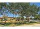 Community playground with swings and slide surrounded by mature shade trees in a park-like setting at 1831 S Hudson Dr, Chandler, AZ 85286