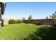 Expansive backyard featuring lush artificial turf, mature trees and bushes at 3818 E Appaloosa Rd, Gilbert, AZ 85296