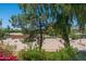 Charming park view featuring colorful landscaping, mature trees, and convenient covered picnic area at 4228 N 81St St, Scottsdale, AZ 85251
